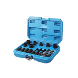 Brake Caliper Extractor (Model: TTS02)